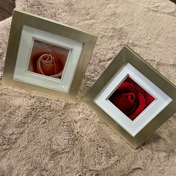 Set of 2 soft champagne gold framed rose photos white matte 10” x 10” square​​ - Picture 8 of 13